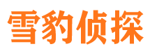 西岗私家侦探